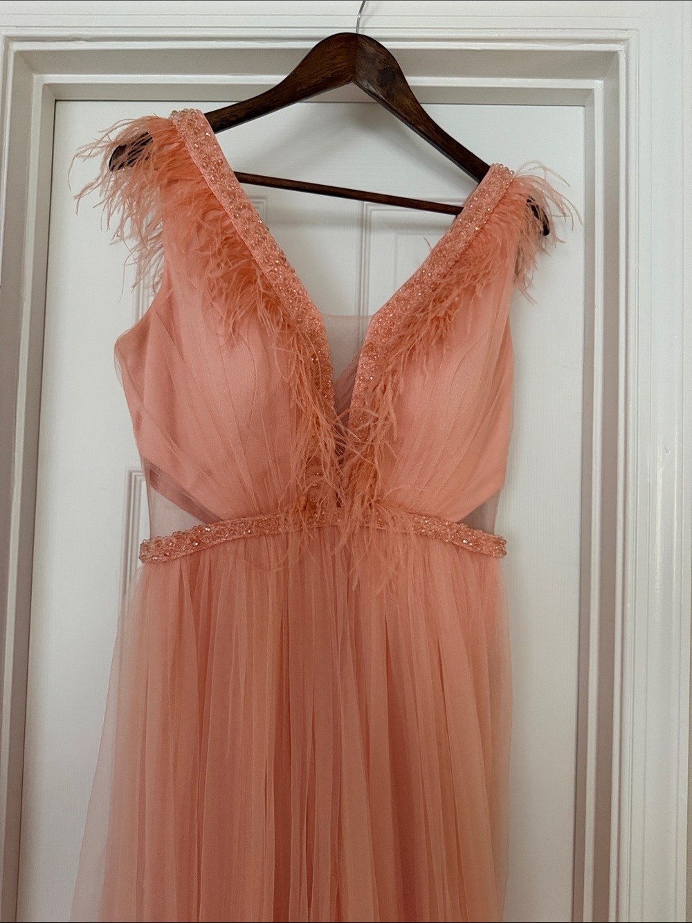 CC Boutique Coral Feather-Trim Tulle Maxi Dress